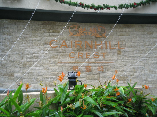 Cairnhill Crest (D9), Condominium #1016662